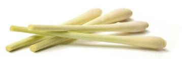 Zitronengras