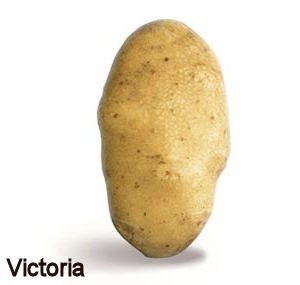 Victoria